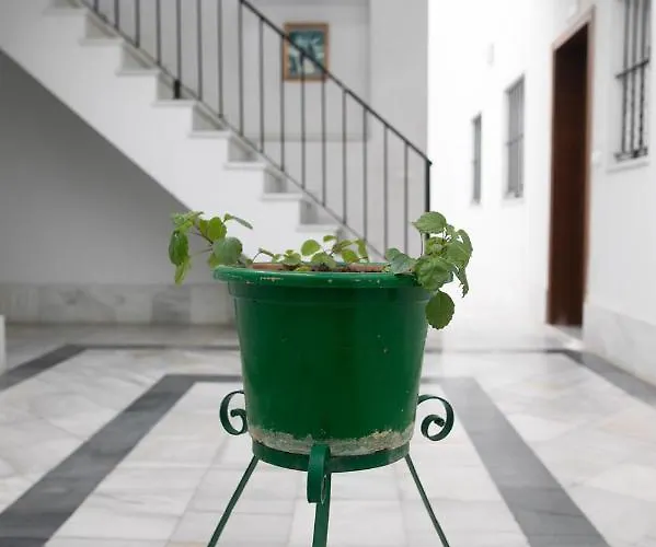 Apartman Bereber أحلام 1 O 2 Jerez de la Frontera