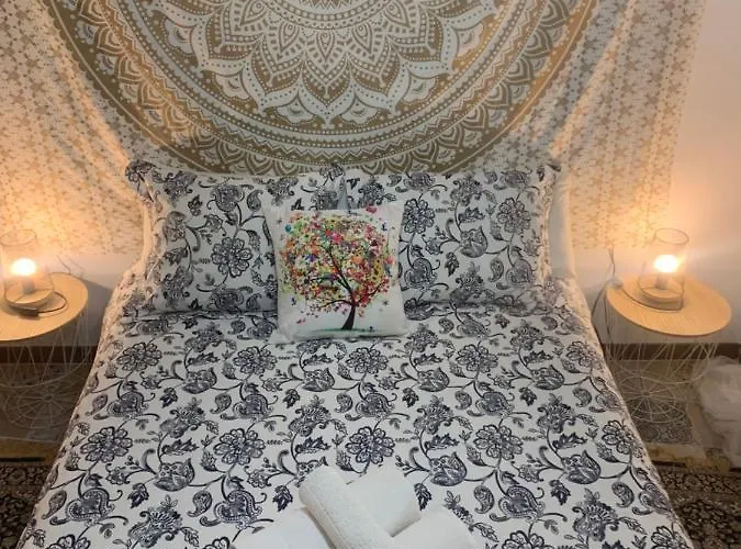 Bereber أحلام 1 O 2