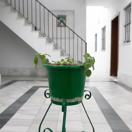 Apartamento Beréber أحلام 1 O 2 Jerez de la Frontera
